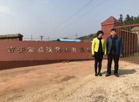 吉安市福陵化工有限公司安全现状评价